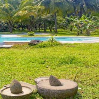 The Other Side Of Goa In Pomburpa, Goa 5